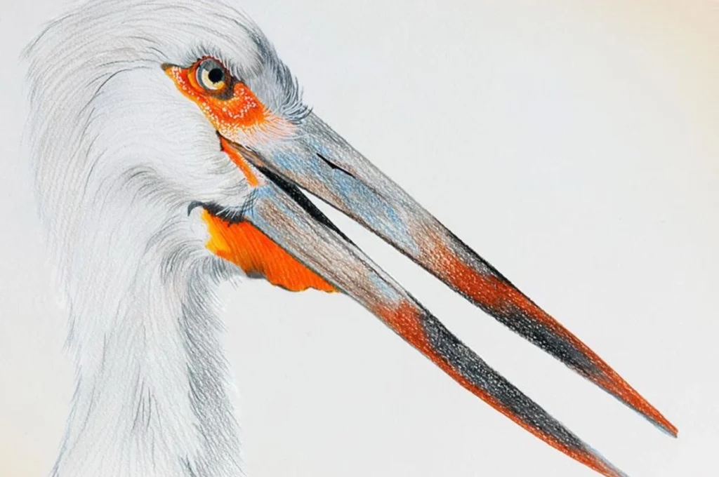 artnow-report-arte-de-todas-as-formas-art-artistic-obra-de-arte-a-melhor-revista-de-arte