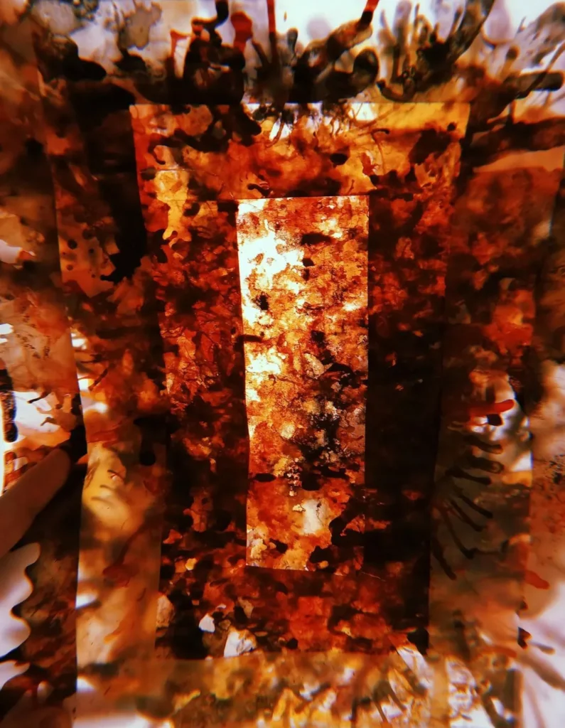 artnow-report-arte-de-todas-as-formas-art-artistic-obra-de-arte-a-melhor-revista-de-arte