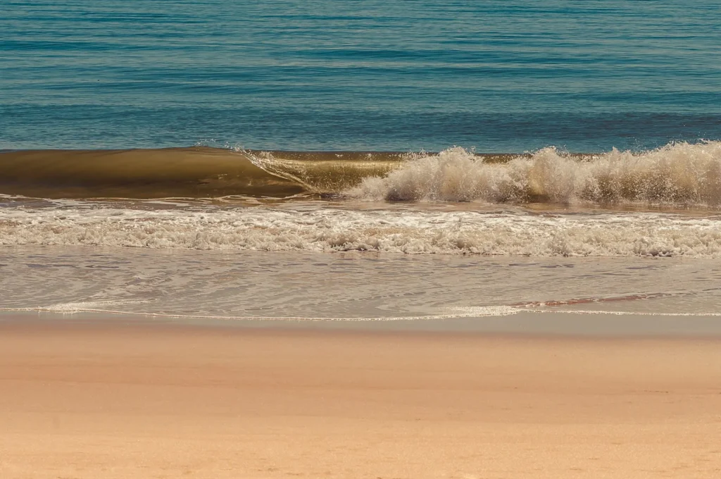 artnow-report-arte-de-todas-as-formas-art-artistic-obra-de-arte-a-melhor-revista-de-arte