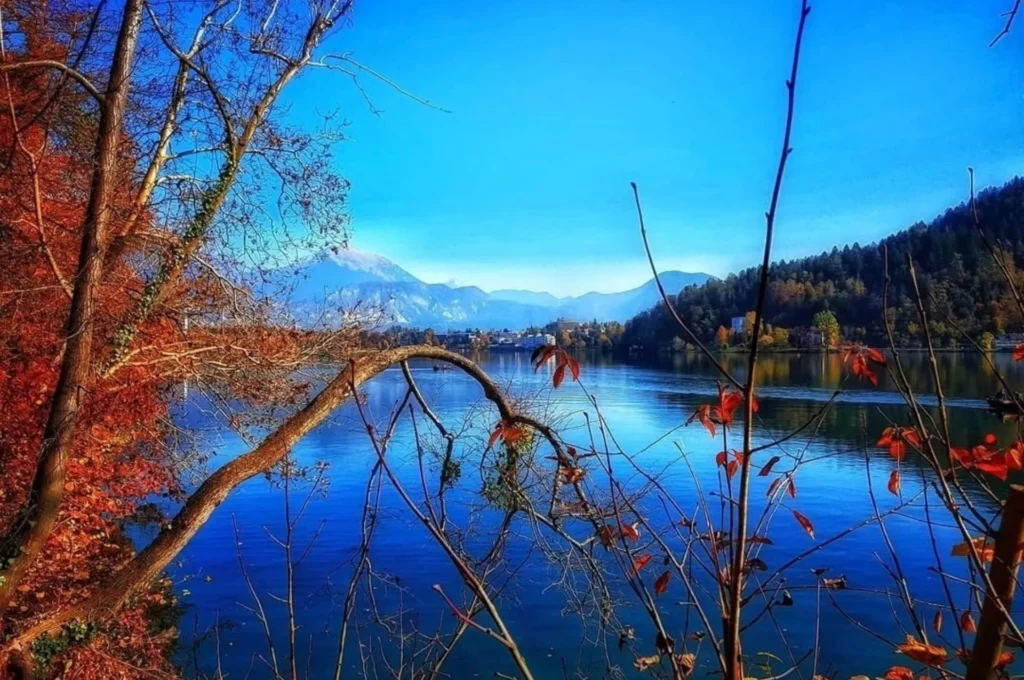 artnow-report-arte-de-todas-as-formas-art-artistic-obra-de-arte-a-melhor-revista-de-arte