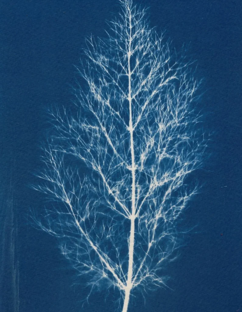 artnow-report-arte-de-todas-as-formas-art-artistic-obra-de-arte-a-melhor-revista-de-arte