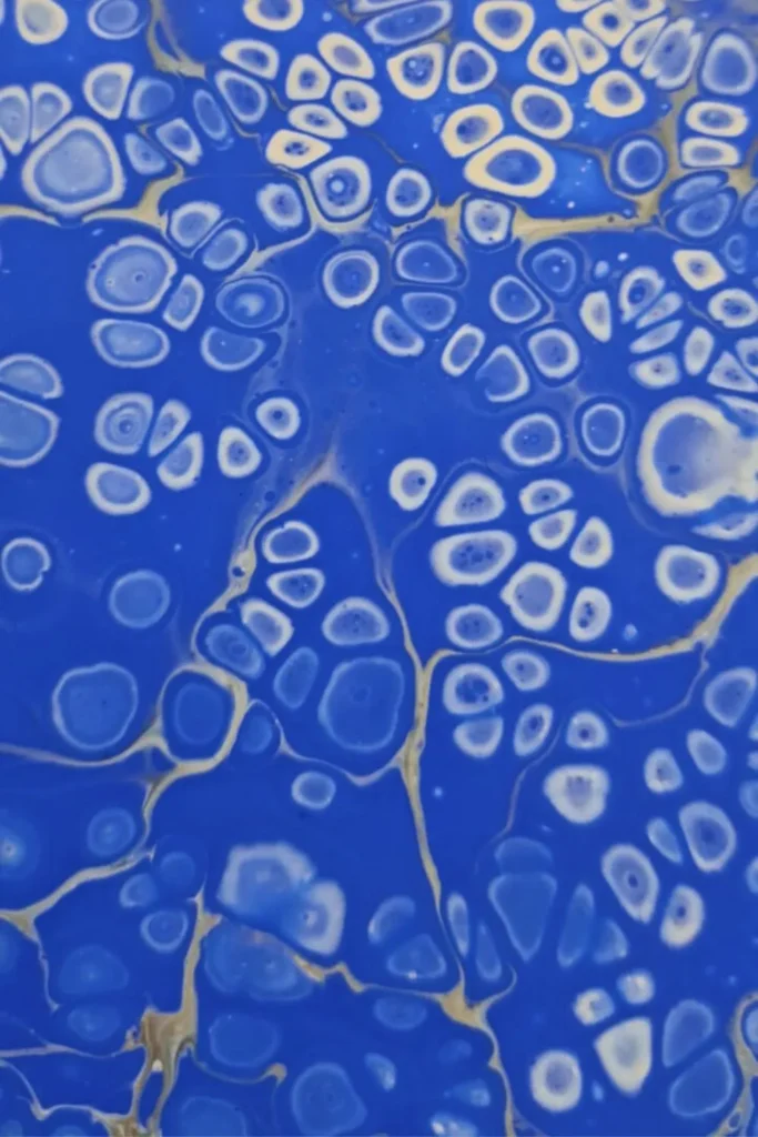 artnow-report-arte-de-todas-as-formas-art-artistic-obra-de-arte-a-melhor-revista-de-arte