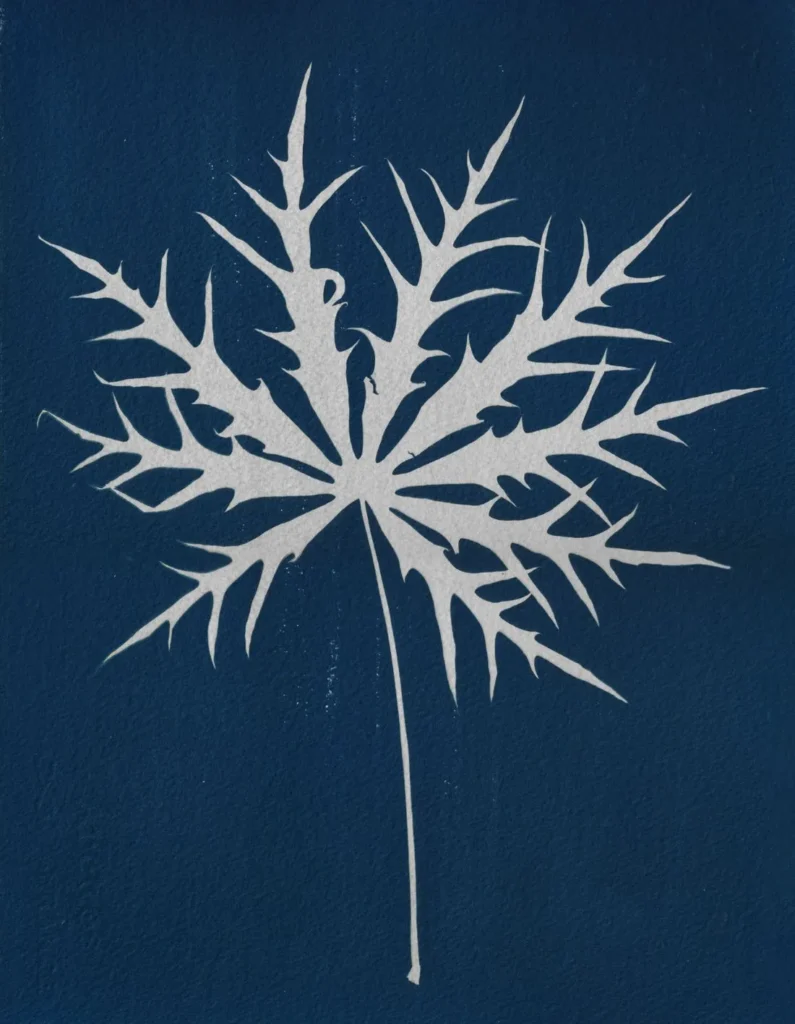 artnow-report-arte-de-todas-as-formas-art-artistic-obra-de-arte-a-melhor-revista-de-arte