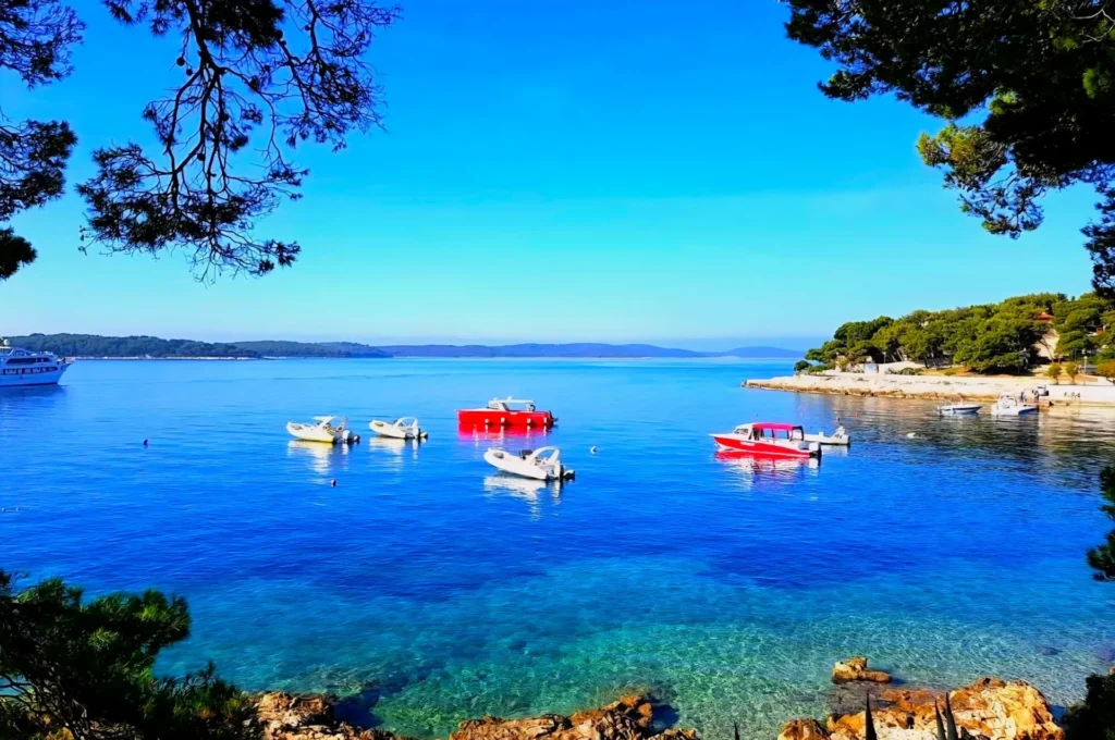 artnow-report-arte-de-todas-as-formas-art-artistic-obra-de-arte-a-melhor-revista-de-arte