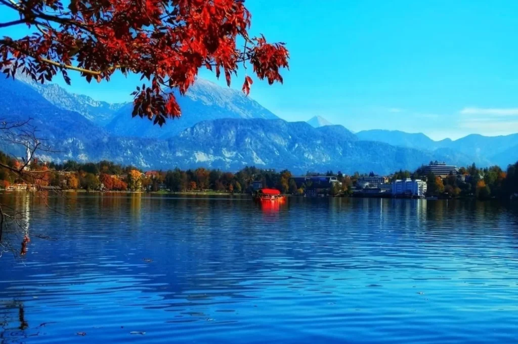 artnow-report-arte-de-todas-as-formas-art-artistic-obra-de-arte-a-melhor-revista-de-arte