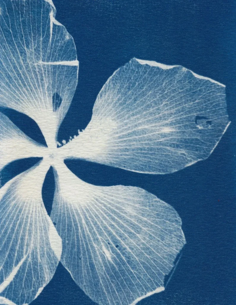 artnow-report-arte-de-todas-as-formas-art-artistic-obra-de-arte-a-melhor-revista-de-arte