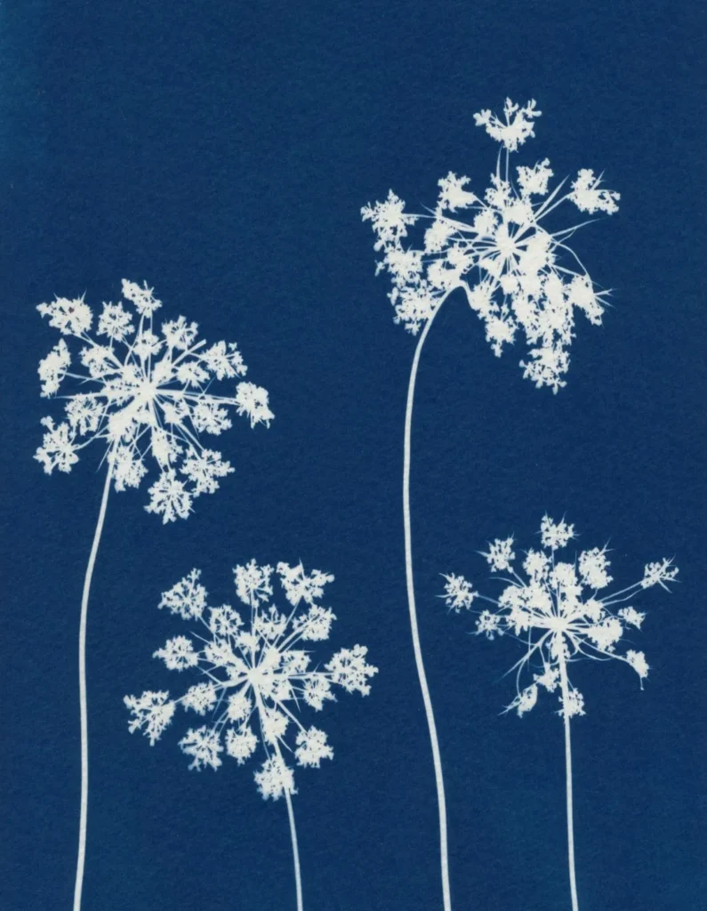 artnow-report-arte-de-todas-as-formas-art-artistic-obra-de-arte-a-melhor-revista-de-arte