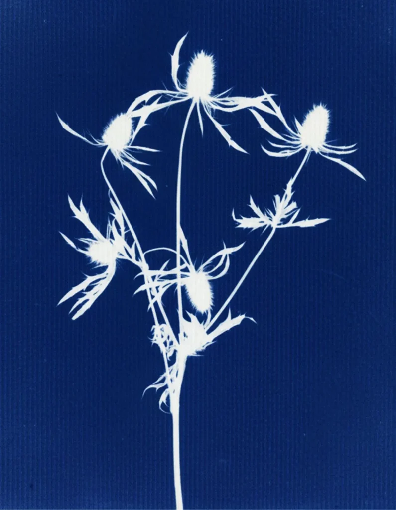 artnow-report-arte-de-todas-as-formas-art-artistic-obra-de-arte-a-melhor-revista-de-arte