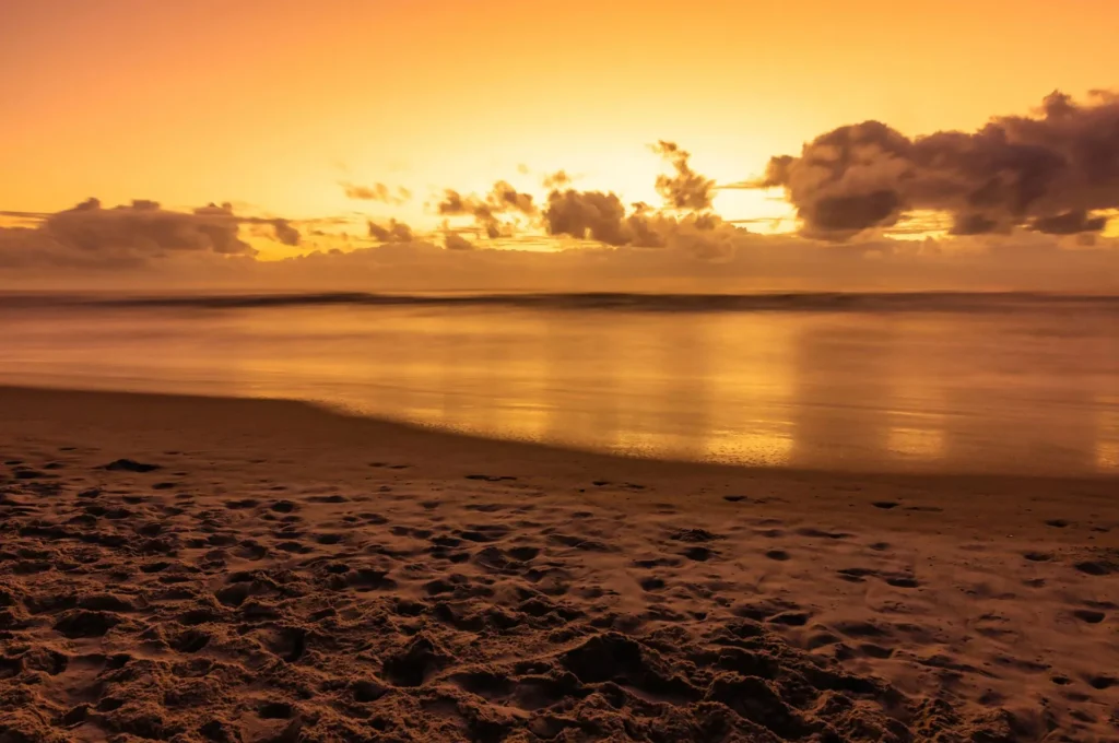 artnow-report-arte-de-todas-as-formas-art-artistic-obra-de-arte-a-melhor-revista-de-arte