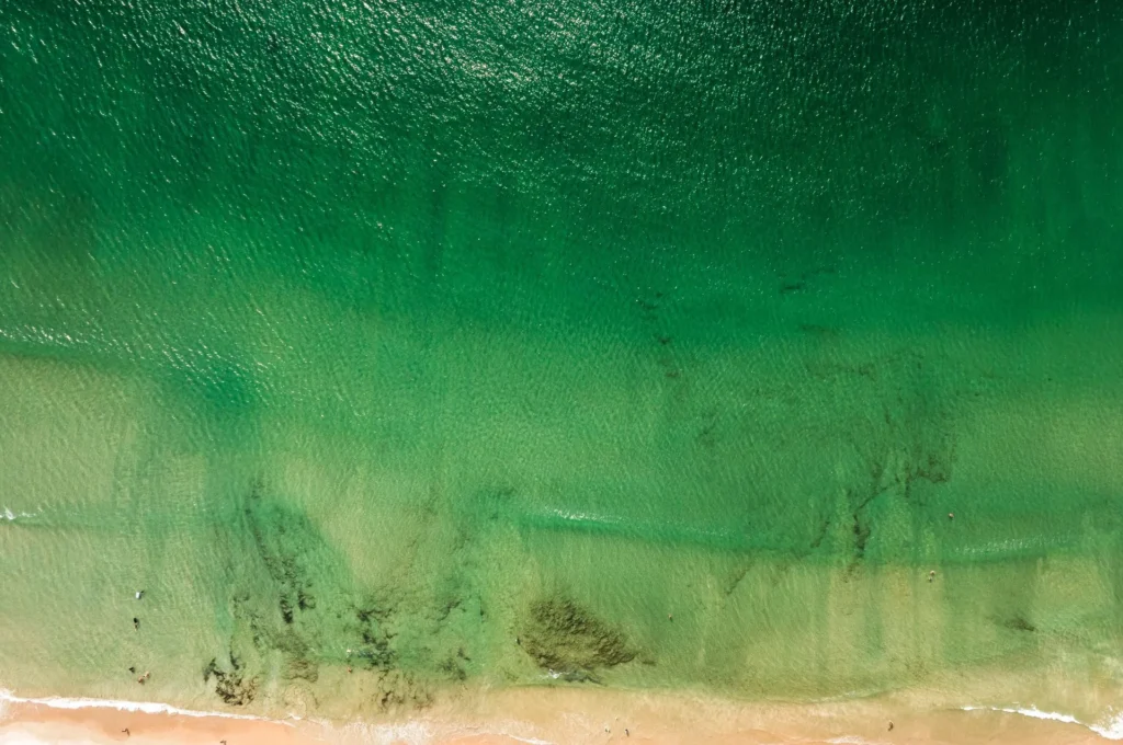 artnow-report-arte-de-todas-as-formas-art-artistic-obra-de-arte-a-melhor-revista-de-arte