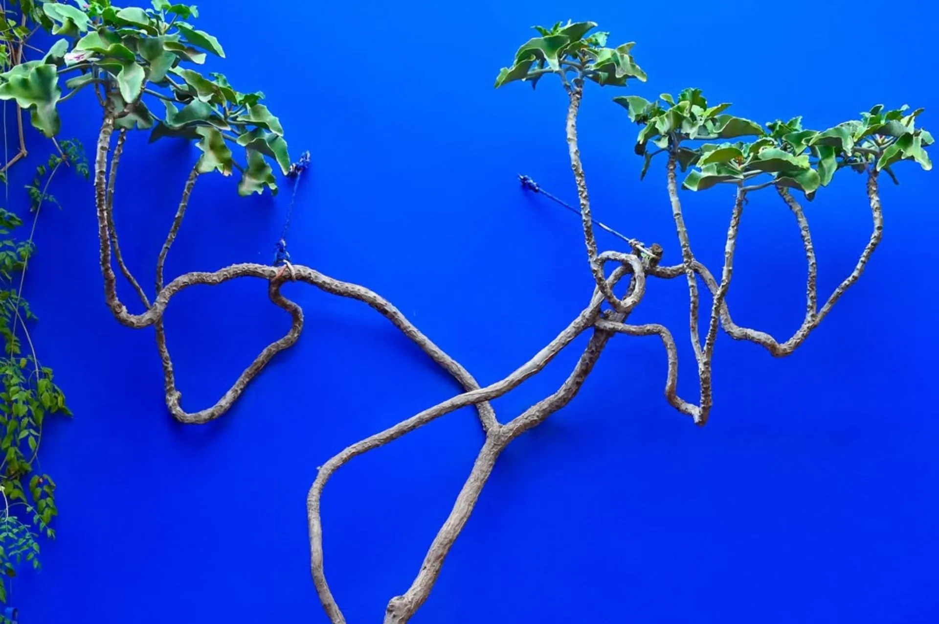 artnow-report-arte-de-todas-as-formas-art-artistic-obra-de-arte-a-melhor-revista-de-arte