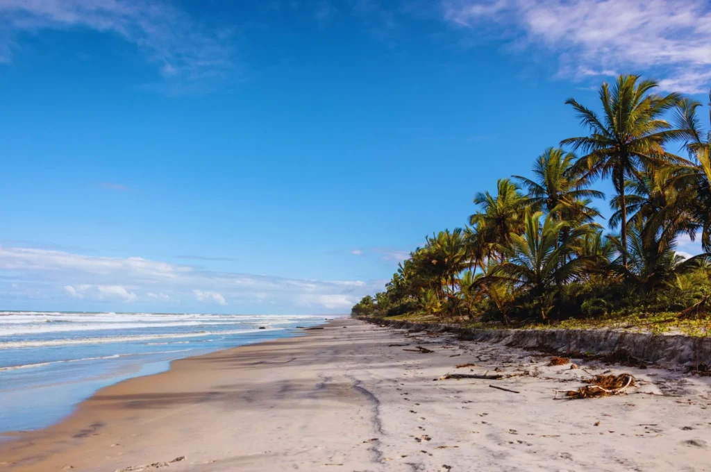 artnow-report-arte-de-todas-as-formas-art-artistic-obra-de-arte-a-melhor-revista-de-arte