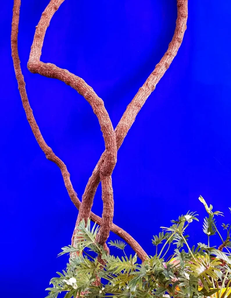 artnow-report-arte-de-todas-as-formas-art-artistic-obra-de-arte-a-melhor-revista-de-arte