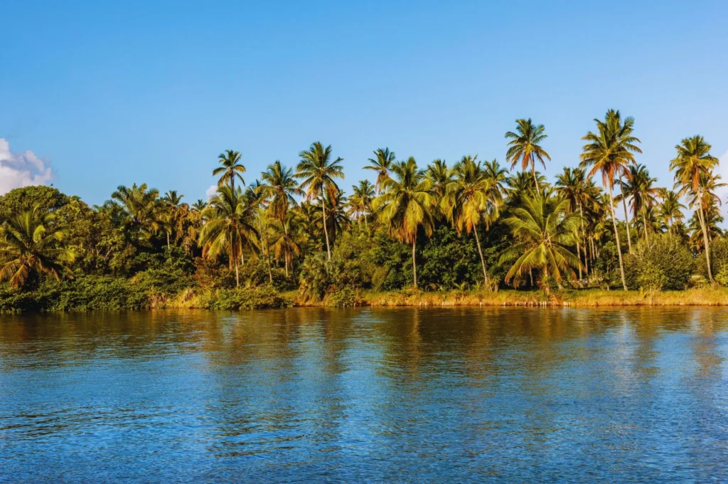 artnow-report-arte-de-todas-as-formas-art-artistic-obra-de-arte-a-melhor-revista-de-arte