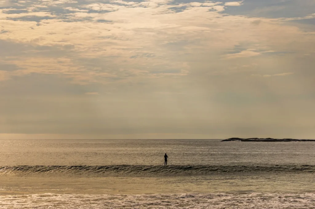 artnow-report-arte-de-todas-as-formas-art-artistic-obra-de-arte-a-melhor-revista-de-arte