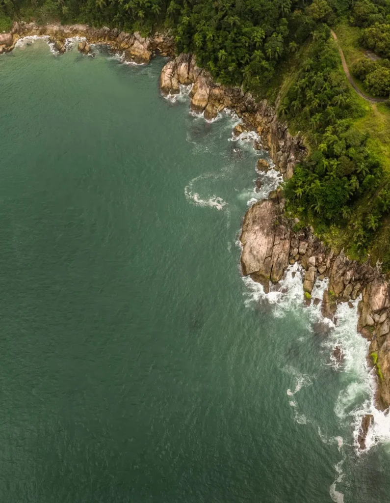 artnow-report-arte-de-todas-as-formas-art-artistic-obra-de-arte-a-melhor-revista-de-arte