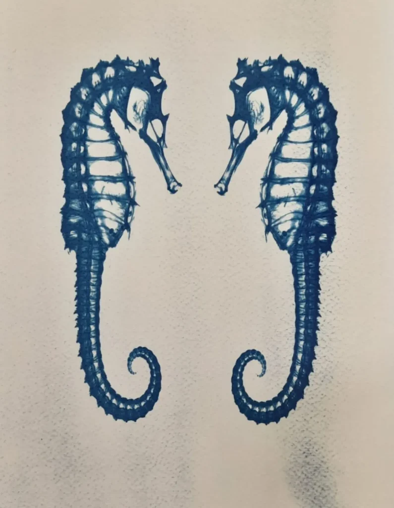 artnow-report-arte-de-todas-as-formas-art-artistic-obra-de-arte-a-melhor-revista-de-arte