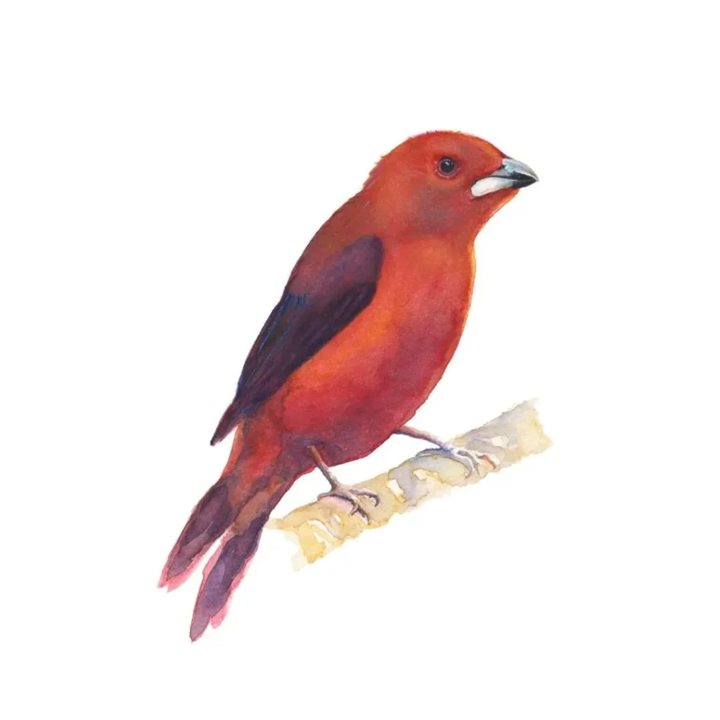 artnow-report-arte-de-todas-as-formas-art-artistic-obra-de-arte-a-melhor-revista-de-arte