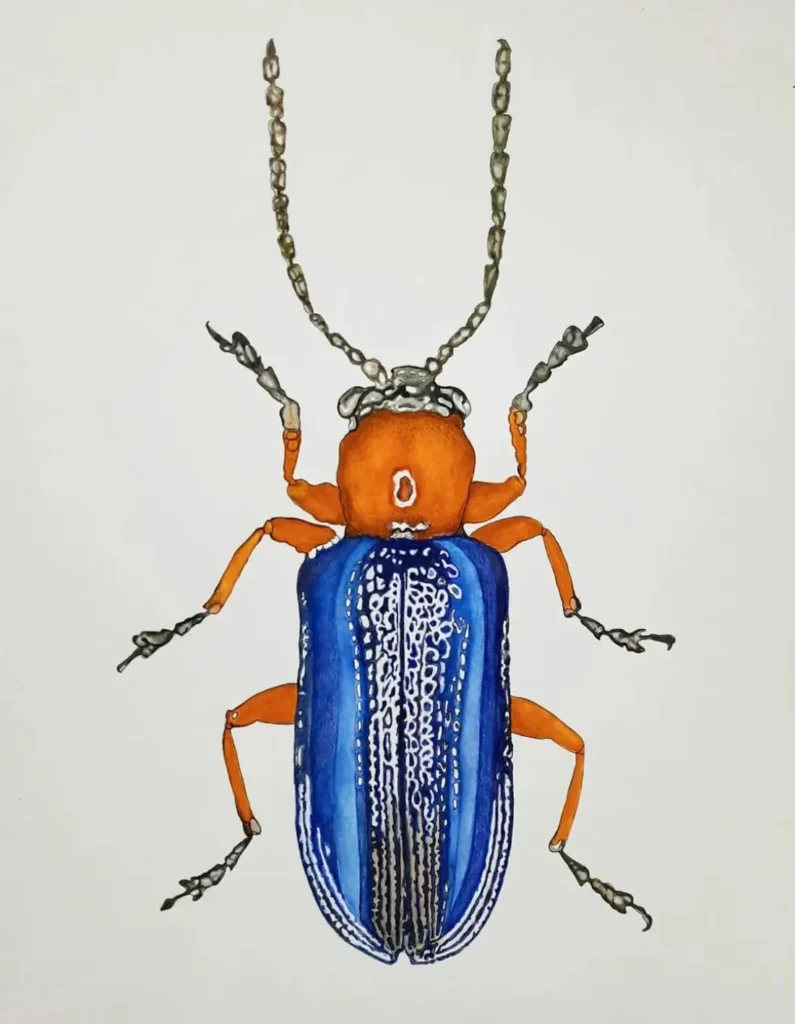 artnow-report-arte-de-todas-as-formas-art-artistic-obra-de-arte-a-melhor-revista-de-arte