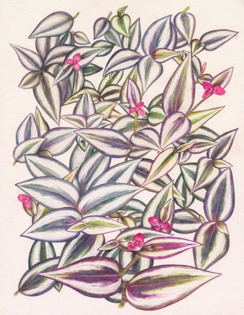 artnow-report-arte-de-todas-as-formas-art-artistic-obra-de-arte-a-melhor-revista-de-arte