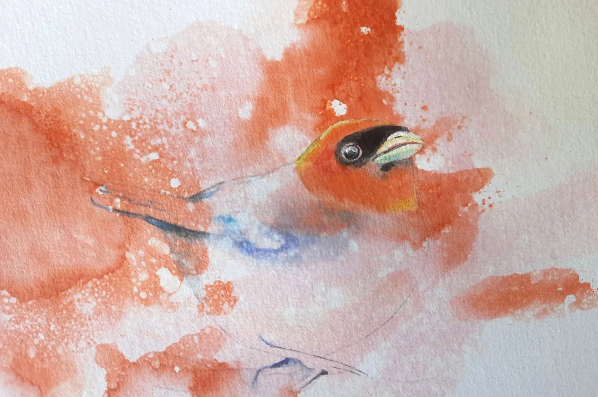 artnow-report-arte-de-todas-as-formas-art-artistic-obra-de-arte-a-melhor-revista-de-arte