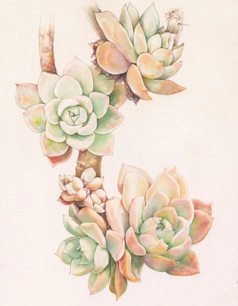 artnow-report-arte-de-todas-as-formas-art-artistic-obra-de-arte-a-melhor-revista-de-arte