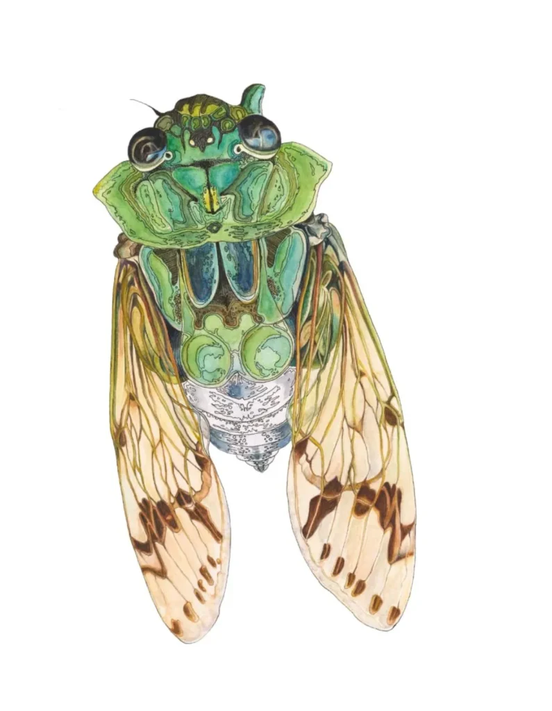 artnow-report-arte-de-todas-as-formas-art-artistic-obra-de-arte-a-melhor-revista-de-arte