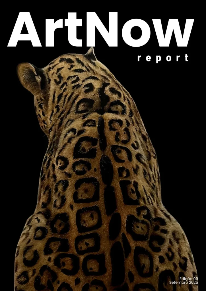 artnow-report-brazil-artista-brasileiro-arte-contemporanea