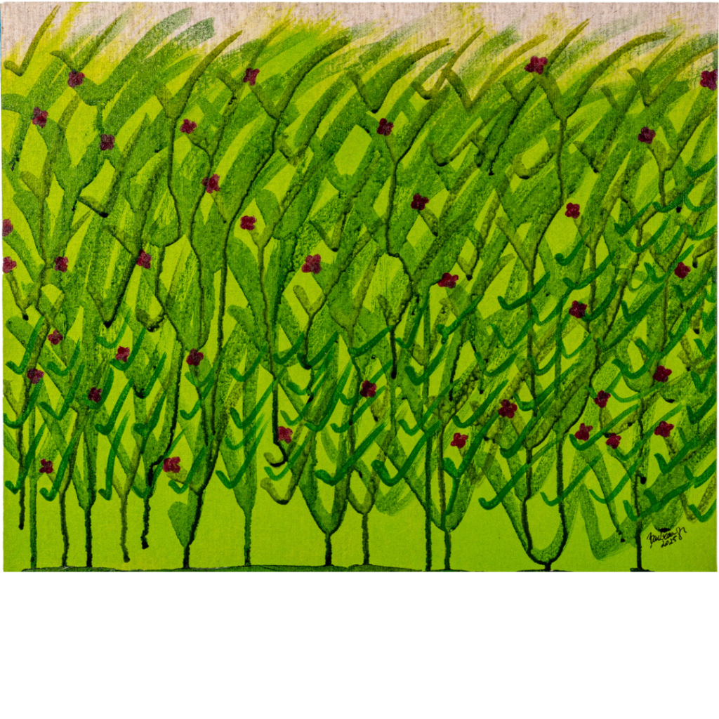 artnow-report-barbara-grings-artista-brasileira-arte-contemporanea