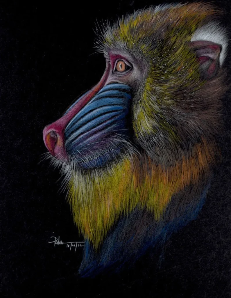 artnow-report-patricia-cassanello-artista-brasileira-arte-contemporanea