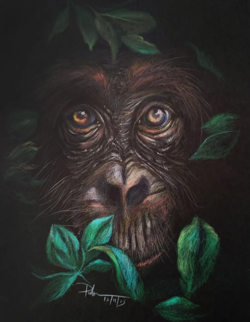 artnow-report-patricia-cassanello-artista-brasileira-arte-contemporanea