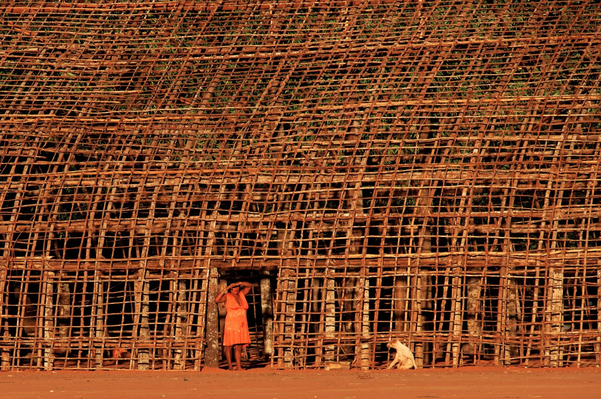 artnow-report-revista-arte-contemporanea-brasil-artista-cinema-fotografia