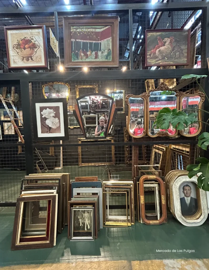 artnow-report-justina-dagostino-artista-brasileira-arte-contemporanea