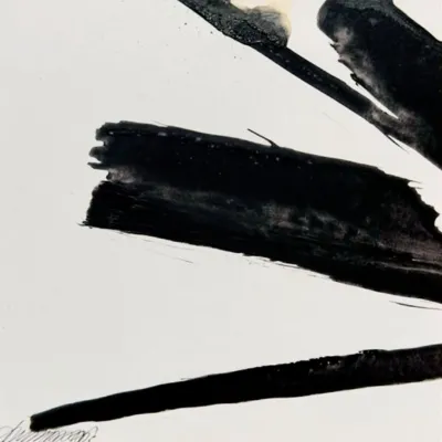 artnow-report-denise-dumont-artista-brasileira-arte-contemporanea
