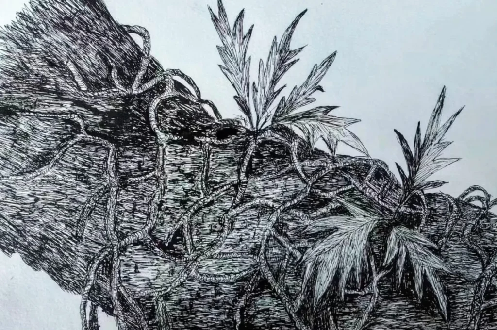 artnow-report-brazil-artista-brasileiro-arte-contemporanea-mario-schuster