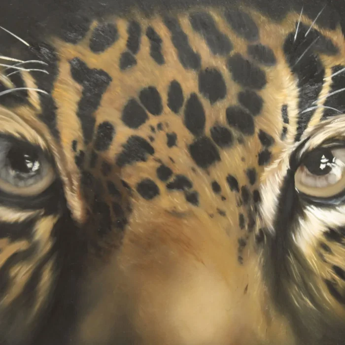 Armando Paolillo Junior