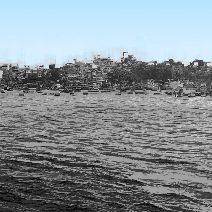 Maximilian Rodrigues